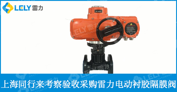 熱烈歡迎上海同行來(lái)雷力參觀、驗(yàn)貨，技術(shù)交流