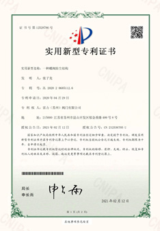 雷力閥門(mén)一種蝶閥防塵結(jié)構(gòu)實(shí)用新型專(zhuān)利 雷力閥門(mén)一種蝶閥防塵結(jié)構(gòu)實(shí)用新型專(zhuān)利